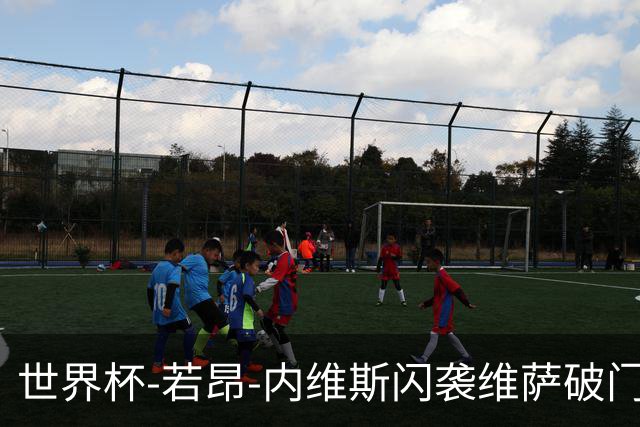世界杯-若昂-内维斯闪袭维萨破门 葡萄牙1-1民主刚果