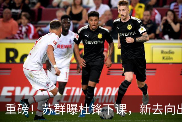 重磅！苏群曝杜锋下课，新去向出炉，球迷喊话杨鸣接手，能行吗？
